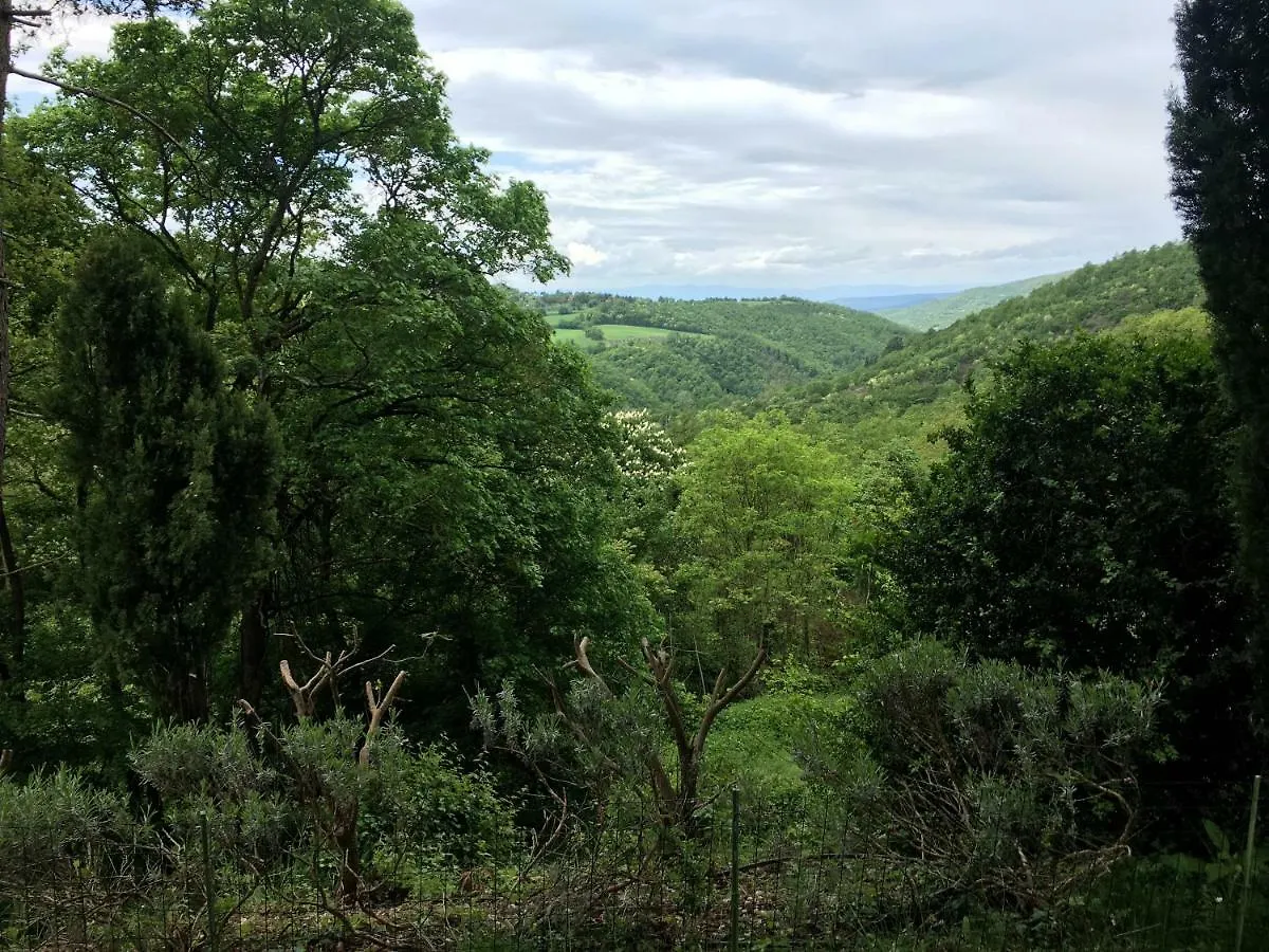 Fattoria La Speranza, Case Toscane, Casa Mirtillo Apartment Anghiari Italy